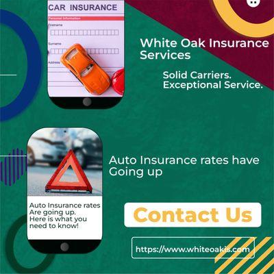 White Oak Insurance Services