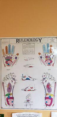 Reflexology chart