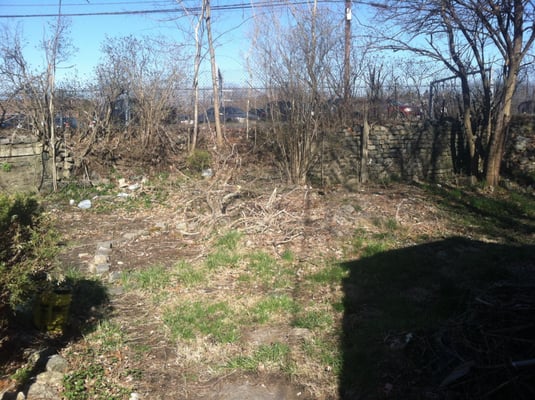 Backyard neglect for years, collapsed wall and rotting fence