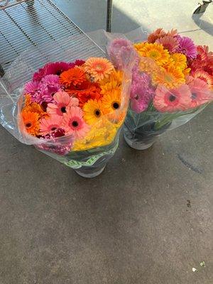 Bouquet of fresh flowers