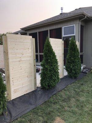 Patio Privacy with Evergreens and Fencing