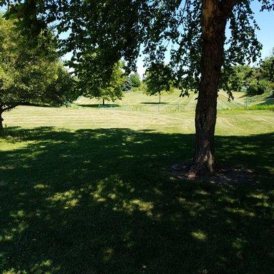 large greenspace beyond the park.  No signs indicating if it is public or private property