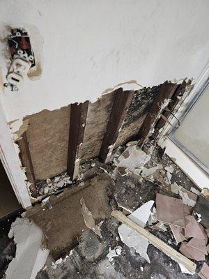 Water damaged drywall demo and repair