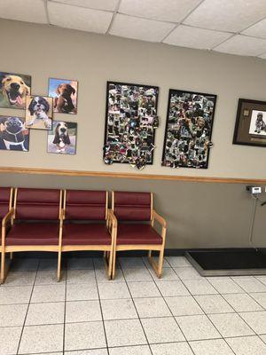 Lobby with dog scale and client photos.