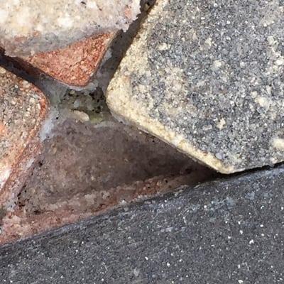 Loose pavers popping out because never sealed