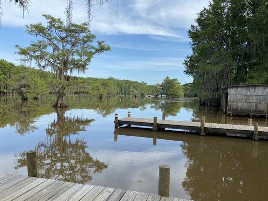 Caddo Lake at Shady Glade 7/2020