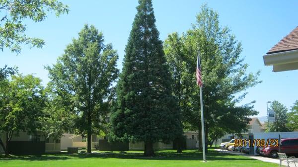 Lovely well maintained grounds