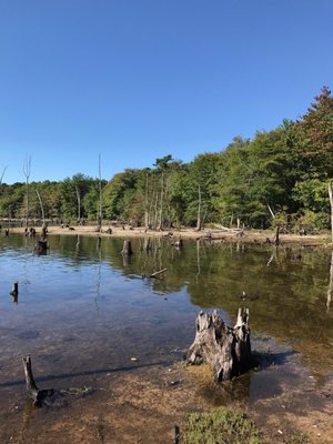 Another nice view off of Cove Trail