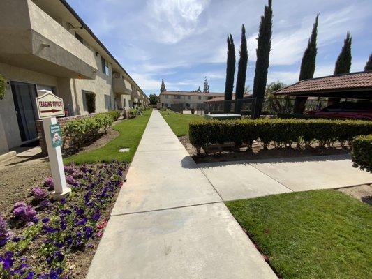 Walkway at Pines Apartment Homes