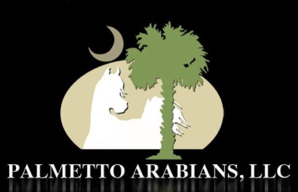 Palmetto Arabians