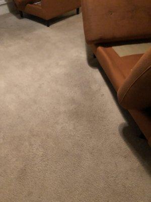 Oxi Fresh Carpet Cleaning