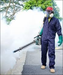 Nadeem, Spraying the Chemicals at the back yard to control the Mosquitoes