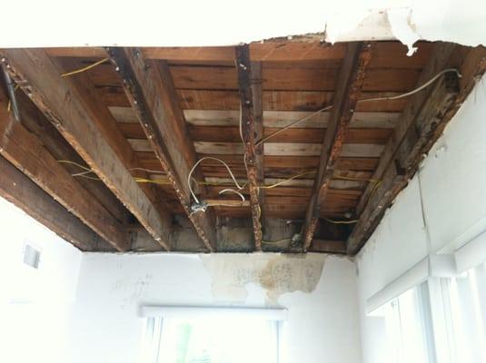 Damage from the "small leak" after my ceiling caved in.