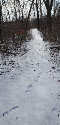 Peaceful winter walk