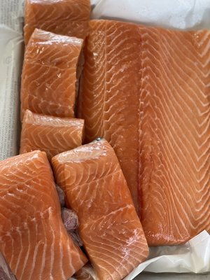 Faroe Island Salmon, Center Cut and Slabs!