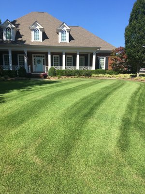 Amazing service! Lawn care and lawn maintenance are some of the best around