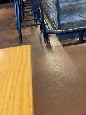 Dirty floor by bar / dining area