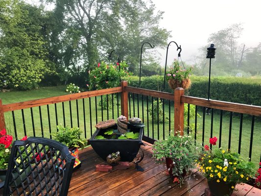 The small water garden we purchased is an awesome addition to our deck!