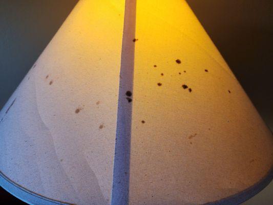 Splatter on the lampshade