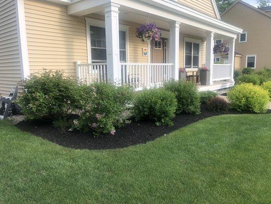 Front beds of the house