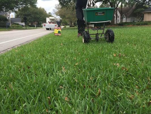 Our lawn care services include granular fertilization.