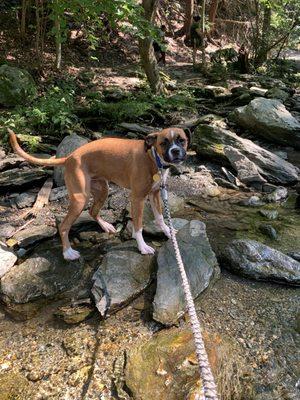 Lucy at Bash Bish Falls, NY