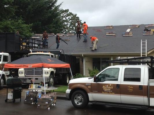 Residential Roof