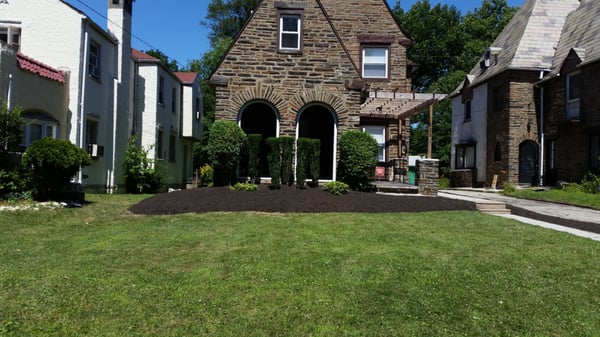 Transplanted 5 shrubs, cleaned and mulched the bed