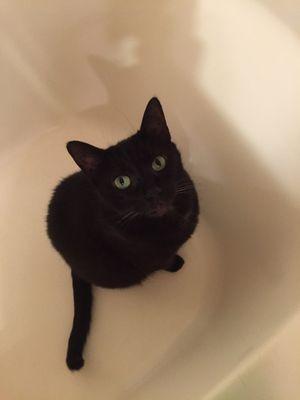 Pinot in the tub!