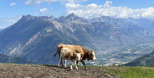 Above the Swiss Rhône valley