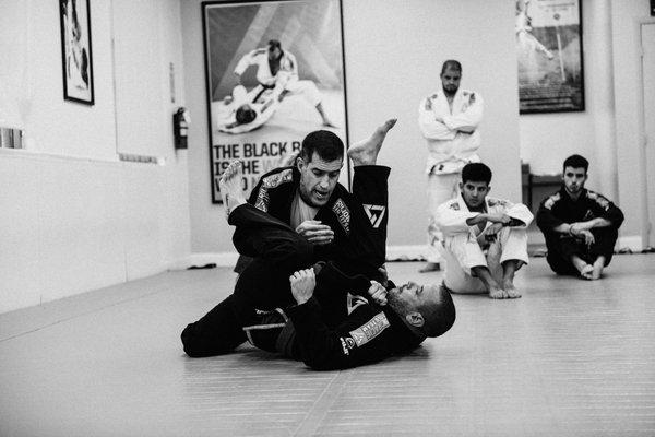 Rilion Gracie Jiu-Jitsu Doral