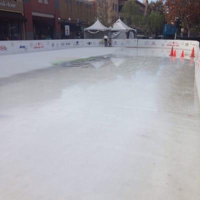 Rink