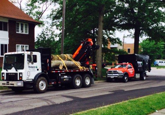 Montgomery Tree & Stump Removal