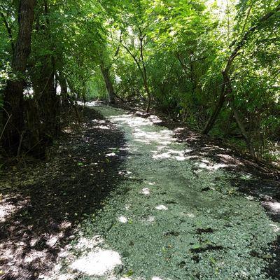 Follow the short trail south through the trees to find the playground