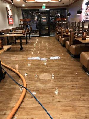 We want your customers to come in and really have the "WOW" when it comes to the cleaning. Clean restaurant = Happy Customers