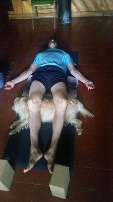 Matt in Savasana with the help of our other Yoga Farm mascot, Dazy.