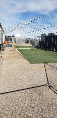 Great fenced in yard! Ample room to space out dogs. Small classes so everyone gets trained