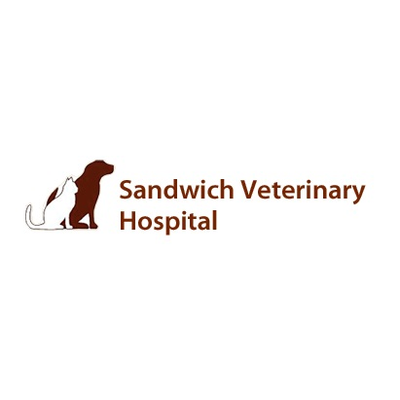 Sandwich Vet Hospital