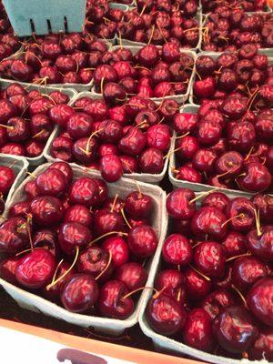 Juicy, sweet Rainer cherries!