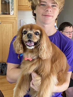 my dog cooper(cavalier). alyssa was awesome! will be requesting her in the future!