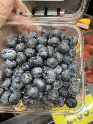 Moldy blueberries.