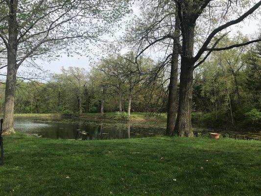 Lovely setting to Drink wine in nature!