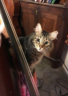 Our bass kitty