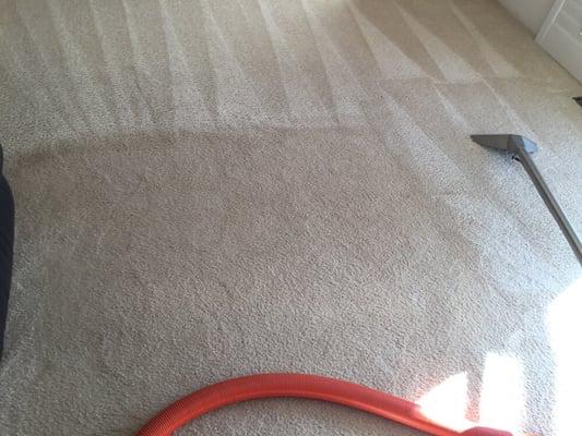 Cleaning heavily soiled carpet.