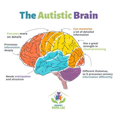 Discover the incredible characteristics of the autistic brain. Every detail matters and every mind is unique.