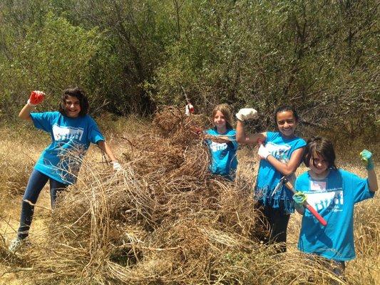 Campers removing invasive plants and brush the Gibbon Conservation Center.