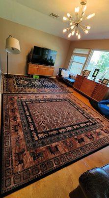 The two back room rugs cleaned and drying side by side.