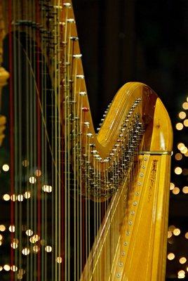 A partial photo of the large harp used by Janice for performance in commercial or business settings