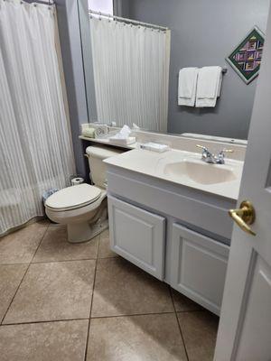 Guest bathroom