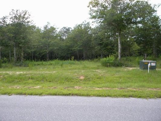 High and dry lots available in Heron's Villiage near Pensacola but with much lower property taxes!